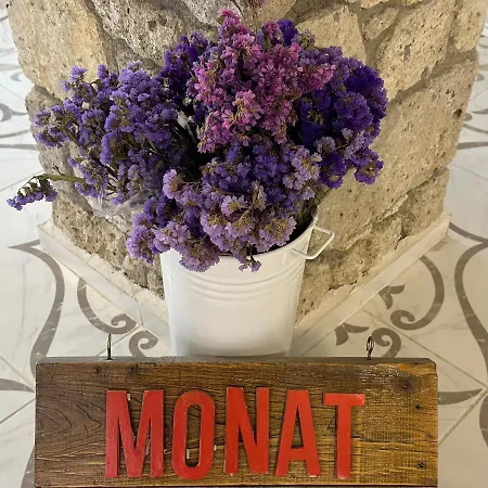 Monat Hacimemis ألاتشاتي